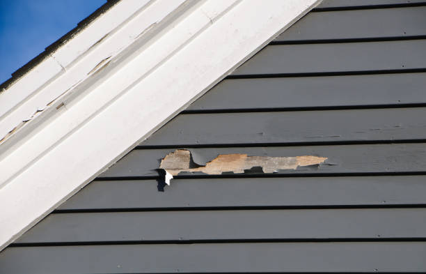Shed Removal in Pine, AZ